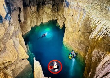 Zhytje historike në shpellën “Kusia e Nue Gjonit”, zbulim i rrallë nga speleologët shqiptarë