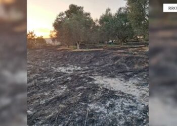 Ndezi zjarr dhe rrezikoi banorët, në pranga 41-vjeçari në Rrogozhinë