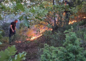 Ministria e Mbrojtjes: Gjatë 24 orëve të fundit janë raportuar 22 vatra