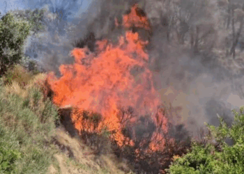 Zjarri në Drenovë vijon ende të jetë aktiv, zjarrfikësit ‘në luftë’ me flakët