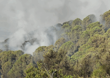 Zjarri në Drenovë vijon prej dy ditësh, pritet sërish ndërhyrja nga ajri