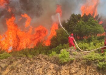 Ministria e Mbrojtjes: Gjatë 24 orëve të fundit janë raportuar 19 vatra zjarri