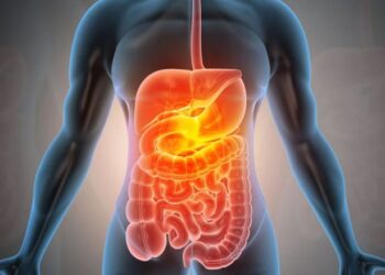 Problemet në zorrë, këshilltari holistik Nikola Ndoni zbulon shkaqet e fshehta