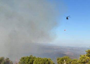 Vatra e zjarrit në Drenovë ende aktive/ 40 trupa të Forcave të Armatosura në terren