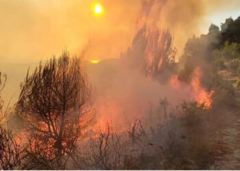Zjarri në Drenovë del jashtë kontrollit, flakët përhapen drejt zonës së banuar