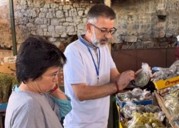 “Ku ta gjej faturën se Muçi s’më dha zgjidhje?”Bardha sfidon Ramën pas debatit me inspektorin