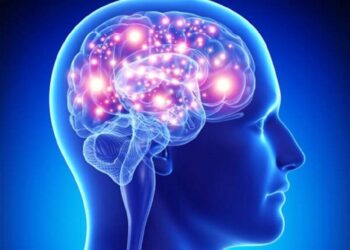 Dita Botërore e Trurit/ Ekspertët përballen me sfidat e shëndetit mendor