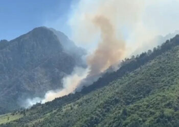 34 vatra zjarri në 24 orët e fundit, Ministria e Mbrojtjes: 8 ende aktive