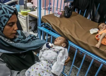 Agjencia e OKB-së: Një në pesë fëmijë në qytetin e Gazës është i kequshqyer