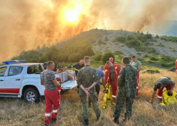 Zjarri në fshatin Dishnicë, mbi 60 forca në terren në luftë me flakët