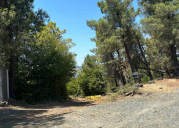 Skandal në Koman/ Privatizohet bregu i liqenit dhe pylli, kërkohen 2 euro hyrja për njerëzit, 5 për makinat