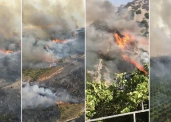 Situatë kritike nga zjarrin në Delvinë, nis evakuimi i 3 fshatrave