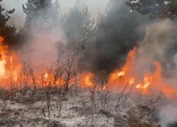 Zjarret në jug të vendit vazhdojnë: Situatë kritike në Delvinë dhe Dukat