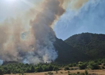 Zjarr i madh në Parkun Kombëtar të Prespës