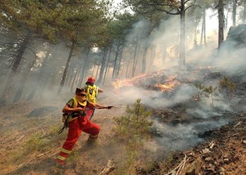 “Follow the money, follow the fire”