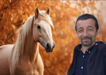 Shëmtia që vret bukurinë / Ja kush është vrasësi i kuajve në Llogara, Selfo Merkohitoj