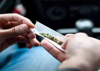 “S’e dija që në Shqipëri ndalohej”/ Turisti francez arrestohet për 8 gram kanabis