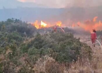 Zjarri në malin e Skërficës, ndërhyn edhe shërbimi zjarrfikës i Gjirokastrës