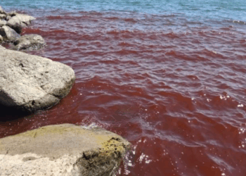 ‘Një nga dhjetë plagët e Faraonit’, deti i Galilesë në Izrael bëhet i kuq