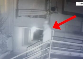 Tritoli në garazhin e Elvis Kosovës në Tiranë, identifikohet autori