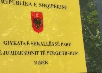 Goditi me thikë nënën e tij, Gjykata e Dibrës shtron në spital psikiatrik të riun