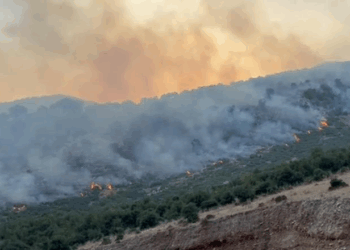 Zjarret në vend/ Ministria e Mbrojtjes: 25 vatra zjarri, vetëm 1 mbetet aktive