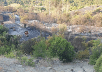 Kritike situata në Patos, terreni i vështirë pengon forcat zjarrfikëse