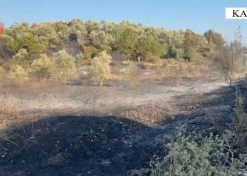 I vuri zjarrin tokës për të djegur mbeturinat dhe shkrumboi pemët frutore, arrestohet i riu