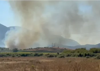Dita e gjashtë, përkeqësohet situata me zjarret në Finiq