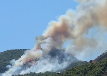 Shqipëria në flakë: Zjarret përhapen nga veriu në jug, rrezikohen banesat dhe pasuritë natyrore