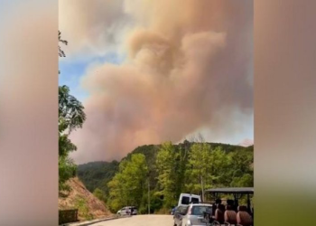 Vijon aktive vatra e zjarrit te zona e Syrit të Kaltër