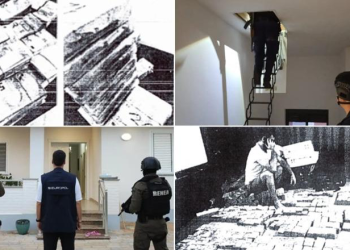 Eurot e kokainës u fshehën nën rrënjët e ullinjve, Franc Çopja: Investoni në ar, nën tokë do dëmtohen