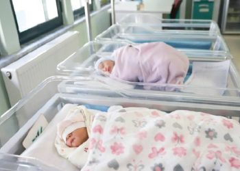 Lindjet në Shqipëri bien me 6.5% gjatë gjashtë muajve të parë të 2025