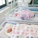 Lindjet në Shqipëri bien me 6.5% gjatë gjashtë muajve të parë të 2025