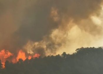 Dy viktima nga zjarri në Elbasan, dhjetëra banesa të shkrumbuara