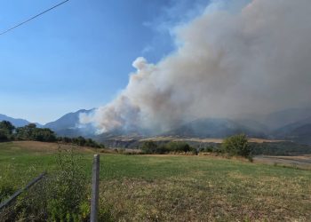 Zjarret në Gramsh vazhdojnë të përpijnë masivet pyjore