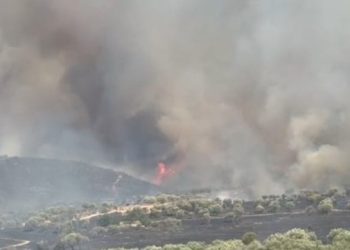 “Shteti na la vetëm, pa ndihmë”, shpërthejnë banorët e Delvinës: Po digjemi