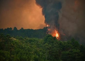 “Apokalipsi” në Gramsh/ Flakët përpijnë gjithçka, shteti dorëzohet përballë zjarreve