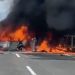 Aksidenti tragjik në Greqi/ Autopsia tronditëse: Tre shqiptarët ishin gjallë kur makina shpërtheu në flakë