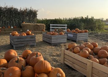 Horoskopi: 8 tetor 2025