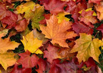 Horoskopi: 10 tetor 2025