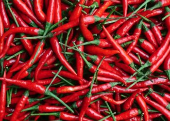 Skandal me specat shqiptarë në BE: Kroacia bllokon 8 mijë kg, zbulohen pesticide të rrezikshme