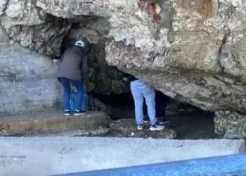 Tubi i Saliut dhe zorra e lubikompanive