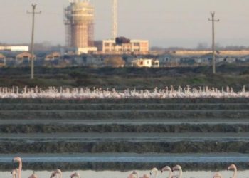 Gjykata hap rrugën për drejtësi në Nartë: Një fitore e vonuar për mjedisin dhe një shuplakë për projektin kaotik të Aeroportit të Vlorës