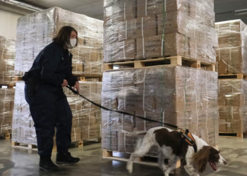 Shqiptarët në qendër të trafikut të drogës në Belgjikë, alarm nga drejtësia: Po rrezikojmë të bëhemi “narko-shtet”