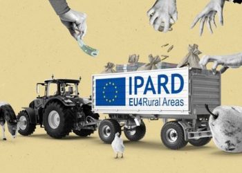 “33 mln euro IPARD përfunduan në hotele e vila”, deputeti Kapri publikon emrat