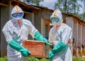 Ebola shpërthen në Afrikë, mbi 200 viktima dhe 10 shtete në alarm për përhapjen e virusit