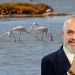 Rama sulmon protestuesit: Flamingot janë vegla të sorrave dhe korbave, që kërkojnë të marrin peng Shqipërinë