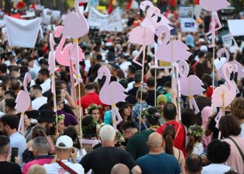 Zgjimi i elektoratit gri është fitorja më e madhe e protestës