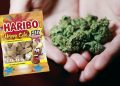 “Haribo me kanabis” në Shqipëri, Policia ngre alarmin te Arsimi: Rrezik për fëmijët dhe të miturit